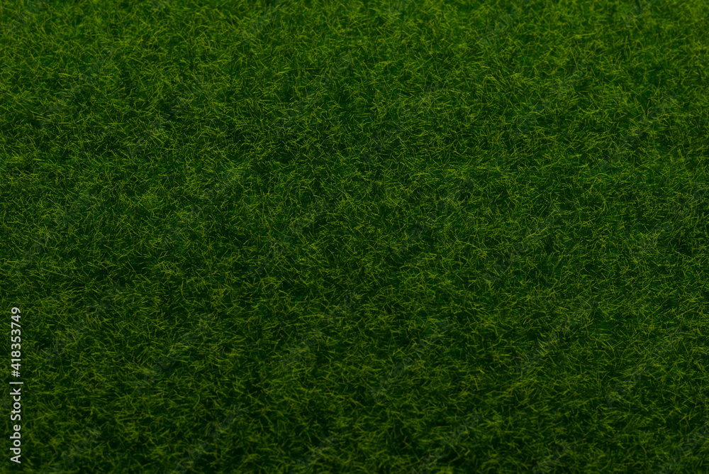 Green lawn background. Green grass. Green lawn background. Green grass.