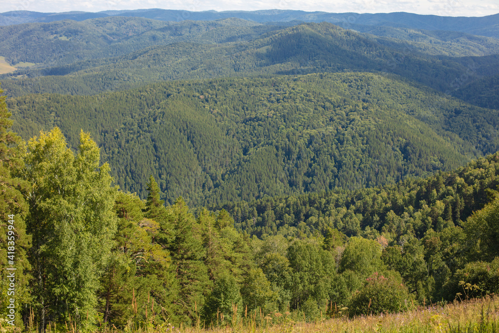 Natural views from a height. Beautiful panoramic landscape from a high point