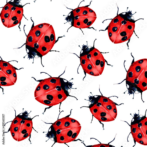Beautiful red lady bug art illustration © NATALIIA TOSUN