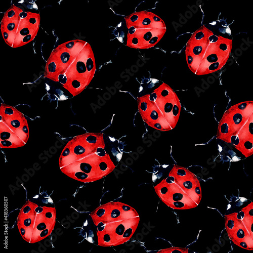 Beautiful red lady bug art illustration