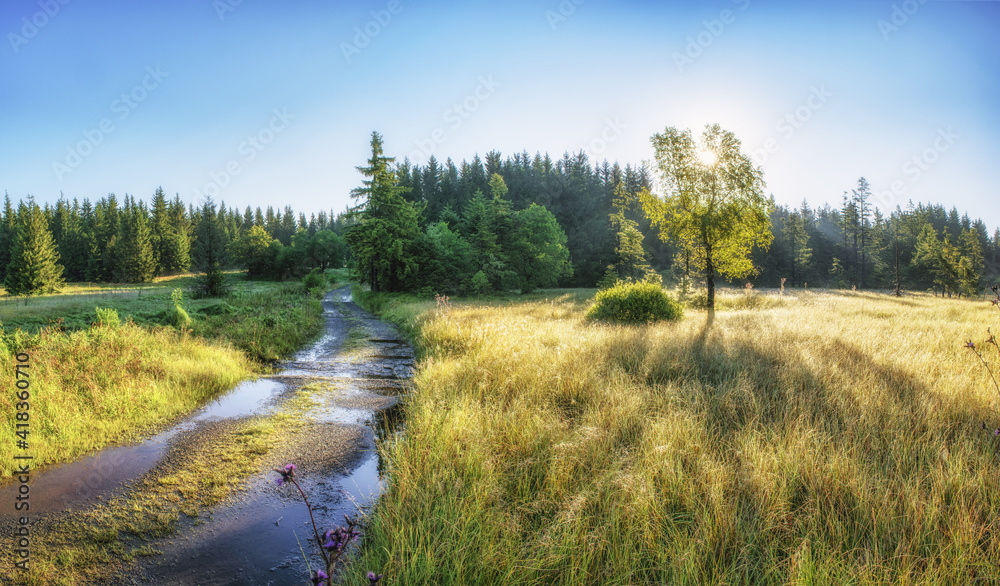 Šumava - Suché Studánky - Czechia