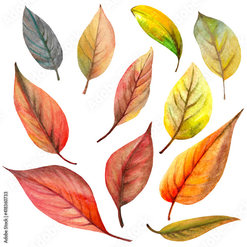 set of watercolor autumn leaves for creating cards and labels