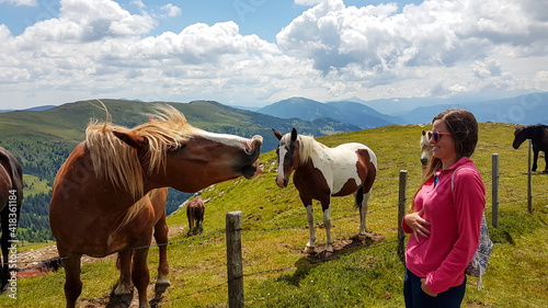 A woman in a pink pullover and laughing at the horse, which laughs back at her. A heard of horses graze at the lush Alpine pasture in Austria. Having fun and joking around. Lush mountain slopes around © Chris