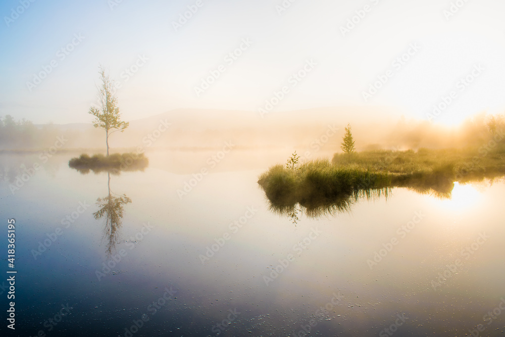 Šumava - Chalupská slať - Czechia Šumava - Chalupská slať - Czechia