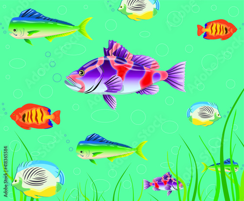 vector fish illustration, background and wallpaper