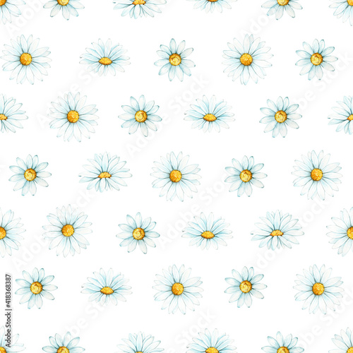 Chamomile, seamless pattern, on an isolated background. Watercolor drawing, on a white background, for printing fabric, and digital paper.