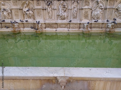 Fontaine, Piazza del Campo, Sienne, Toscane, Italie (1)