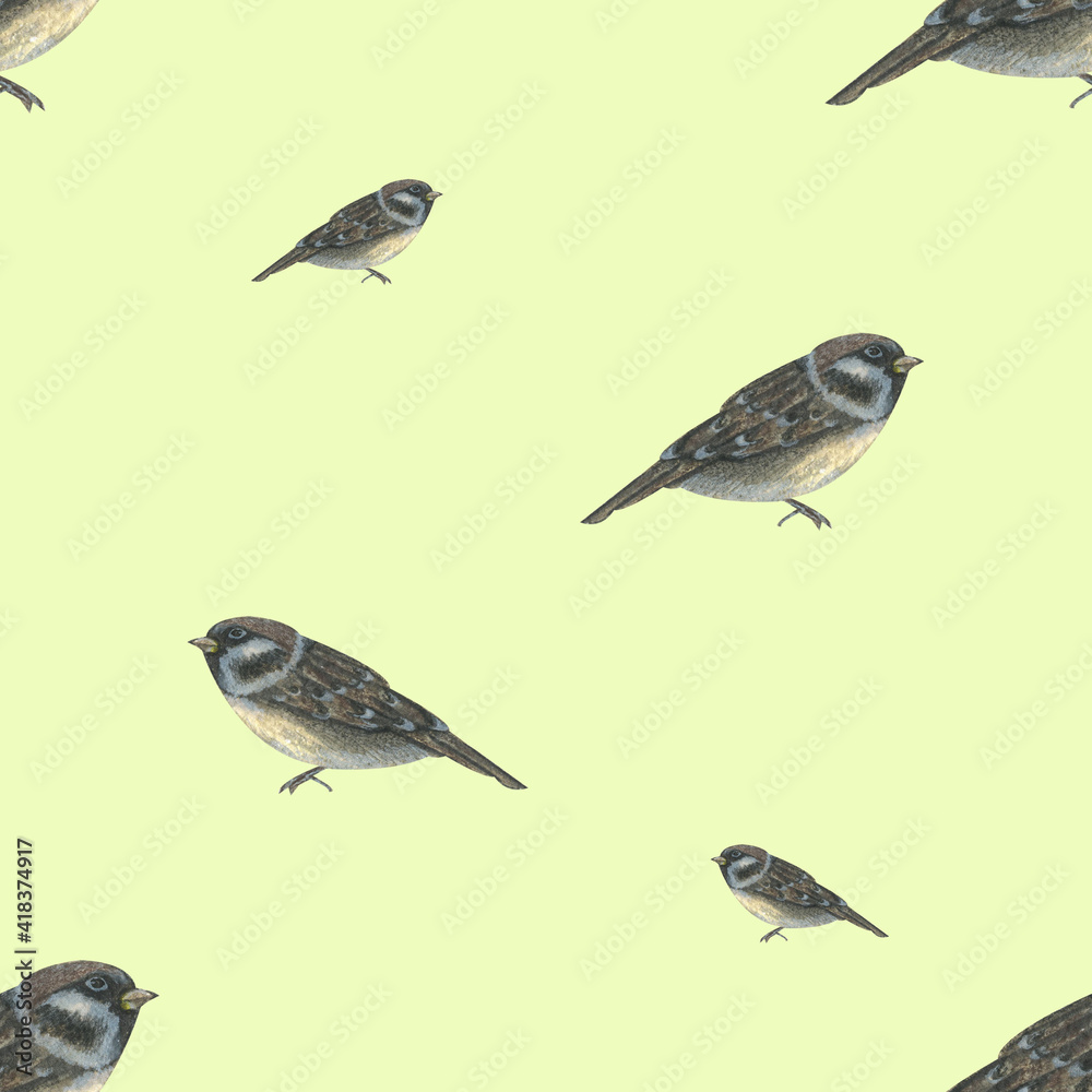 Fototapeta premium delicate spring seamless pattern with birds on a light green background