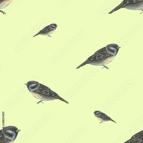 delicate spring seamless pattern with birds on a light green background