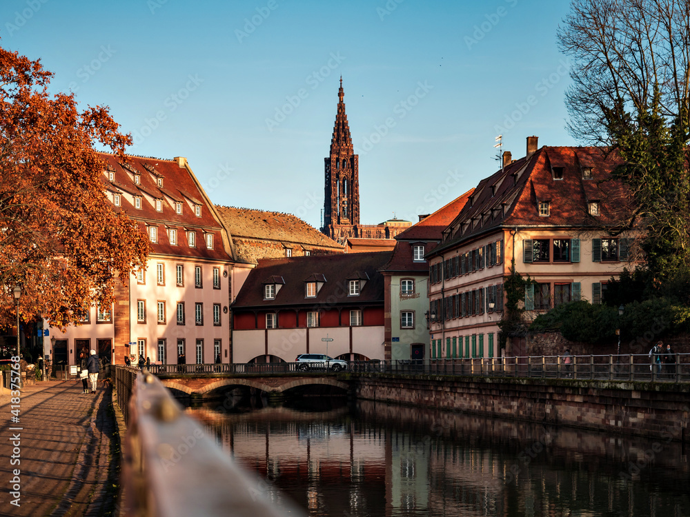 Naklejka premium stunning colors of autumn in the city of Strasbourg. Colored leaves, warm sunlight.