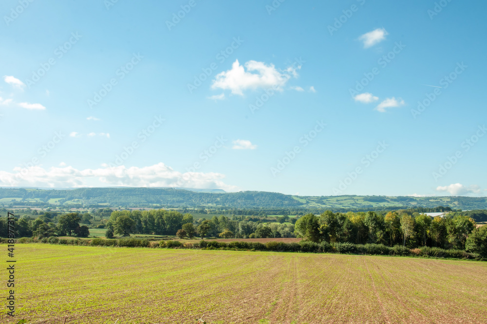 Summertime countryside in England.