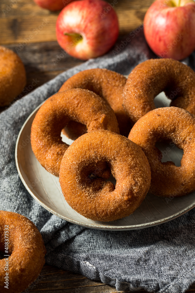 Homemade Sweet Apple Cider Donuts Homemade Sweet Apple Cider Donuts