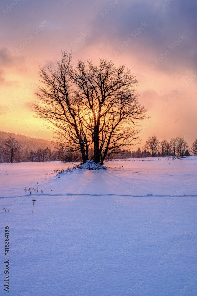 Šumava - Zhůří - Czechia