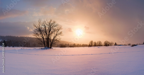 Šumava - Zhůří - Czechia