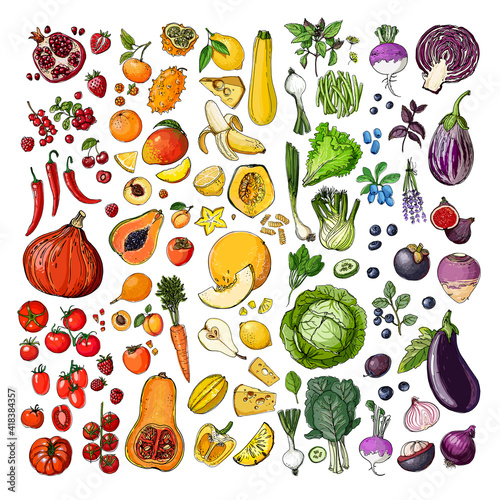 Rainbow vegetables and fruits, berries. vector sketch of food. Pumpkins, apples, bananas, cabbage, tomatoes.
