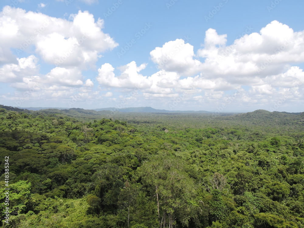 Obraz premium clouds over the rainforest