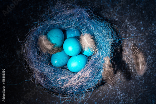 Easter eggs in nest painted in blue color on dark background