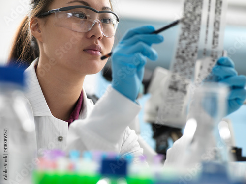 Scientist viewing results of genetic test on DNA autoradiogram in laboratory photo