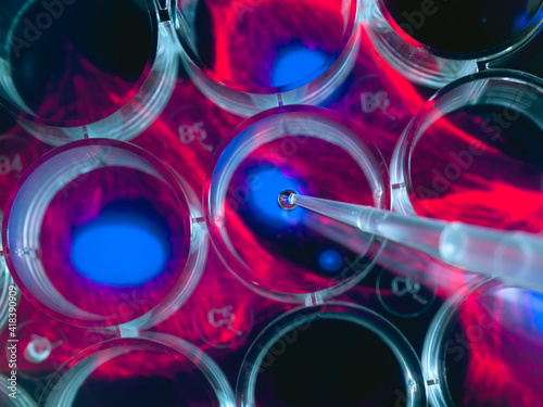 Stem cell research, scientist pipetting cells into a multi well plate with screen image of stem cells in the background