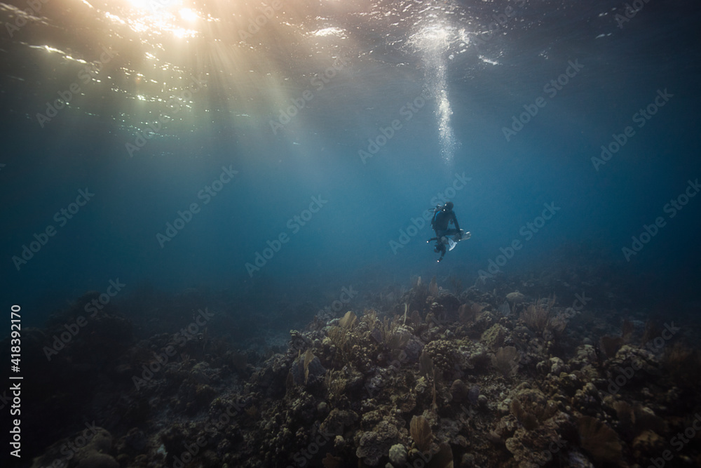 Male underwater photographer looking down toward sea bed, Exuma, Bahamas Male underwater photographer looking down toward sea bed, Exuma, Bahamas