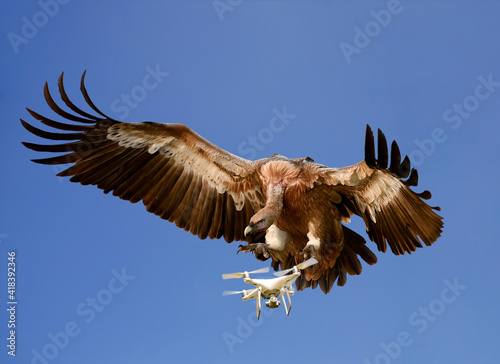 Nature versus Technology concept. Eagle attacking airborne drone against blue sky, digitally enhanced image