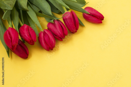 Fototapeta Naklejka Na Ścianę i Meble -  bouquet of red tulips on yellow background