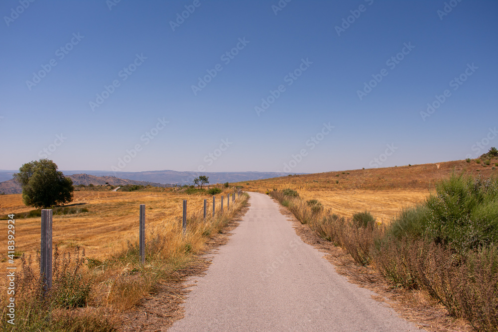 Yellow dry field road middle blue clear sky landscape mountain side poles 