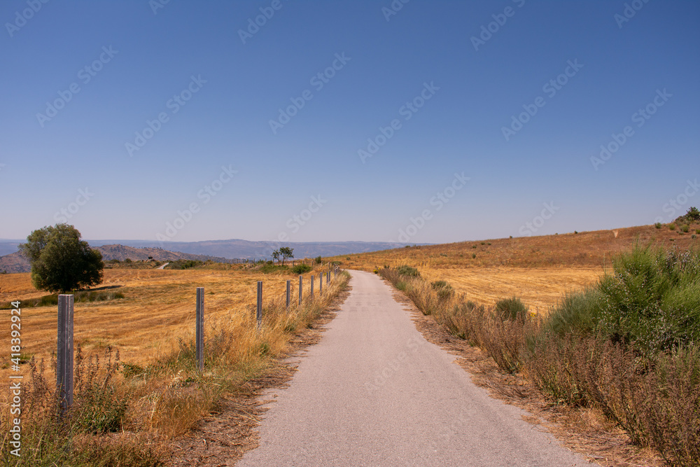 Yellow dry field road middle blue clear sky landscape mountain side poles Yellow dry field road middle blue clear sky landscape mountain side poles