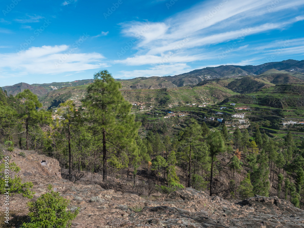 Green hills and forest mountains, landscape of Tamadaba natural park. Gran Canaria, Canary Islands, Spain