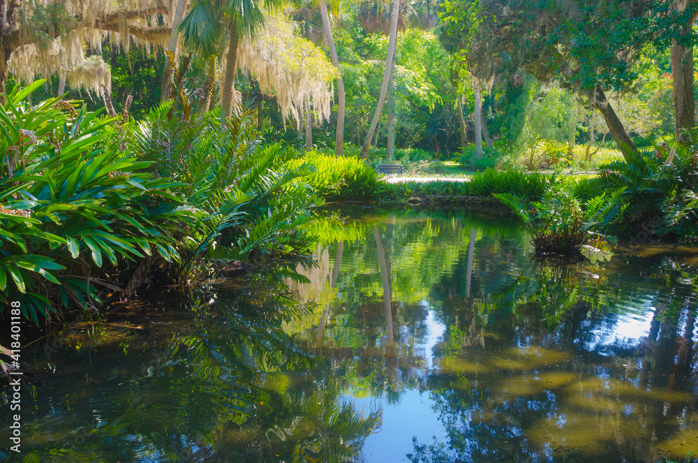 Obraz premium USA, Florida. Washington Oaks Gardens State Park pond.
