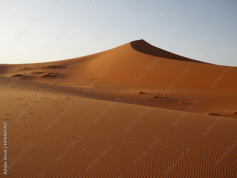 Sahara desert barkhan dune at sunset. View of sand dunes in Erg Chebbi in Sahara desert, Morocco.