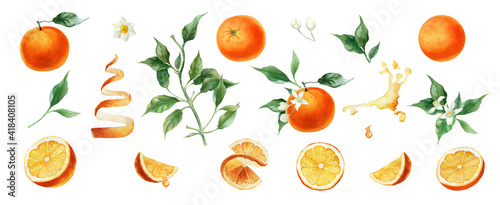 Watercolor orange fruits. Citrus set with half and slices. Isolated on white background. Hand painted,  botanical painting perfect for kitchen design, cards, poster, textile, menu