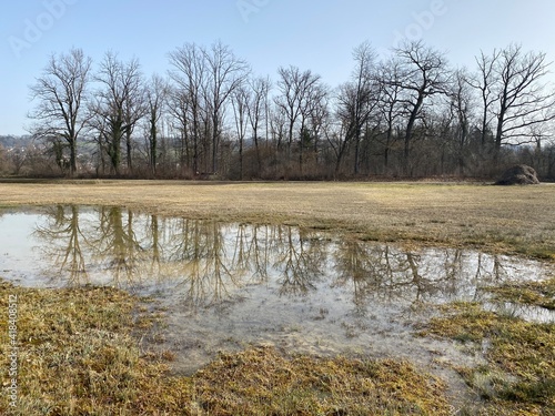 Stud pasture and alluvial forest Giriz (Studweid und Auenwald Giriz) in the natural protection zone Aargau Reuss river plain (Naturschutzzone Aargauische Auen in der Reussebene), Switzerland / Schweiz photo