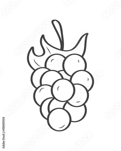 grapes fresh fruits