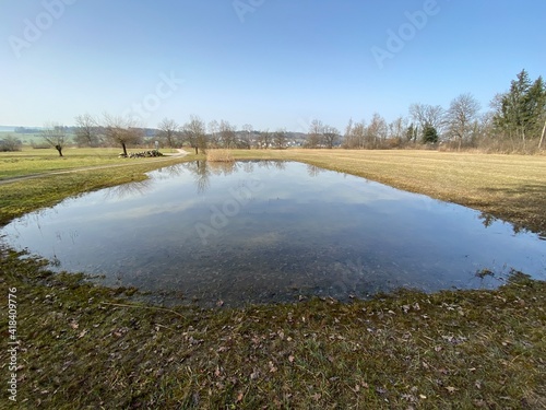 Stud pasture and alluvial forest Giriz (Studweid und Auenwald Giriz) in the natural protection zone Aargau Reuss river plain (Naturschutzzone Aargauische Auen in der Reussebene), Switzerland / Schweiz photo