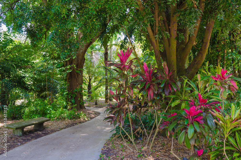 USA, Florida. Tropical garden with vibrant plants. USA, Florida. Tropical garden with vibrant plants.