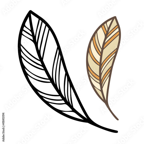 Isolated vector black and white illustration design with abstract geometric feather shapes