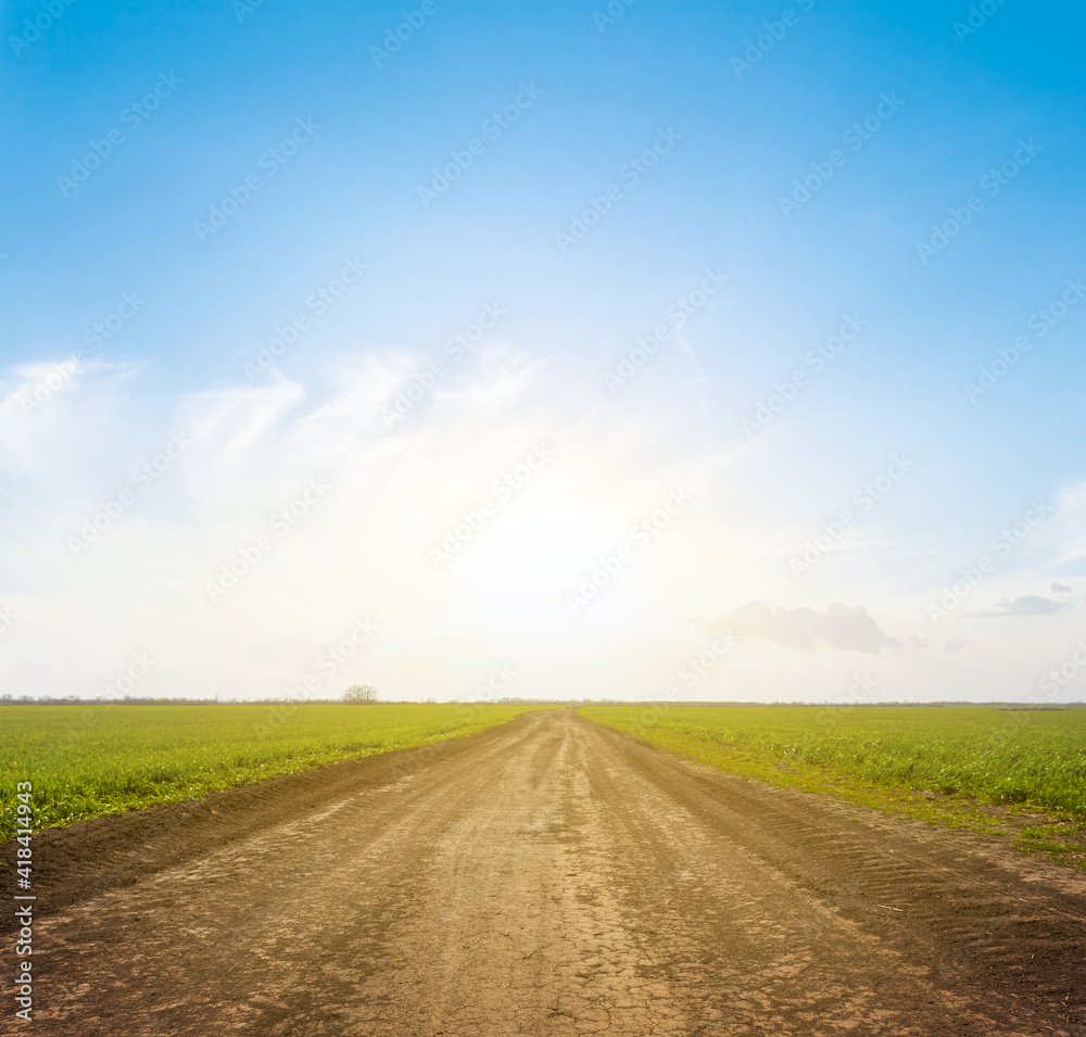 ground road among green fields at the sunset, countryside rural background