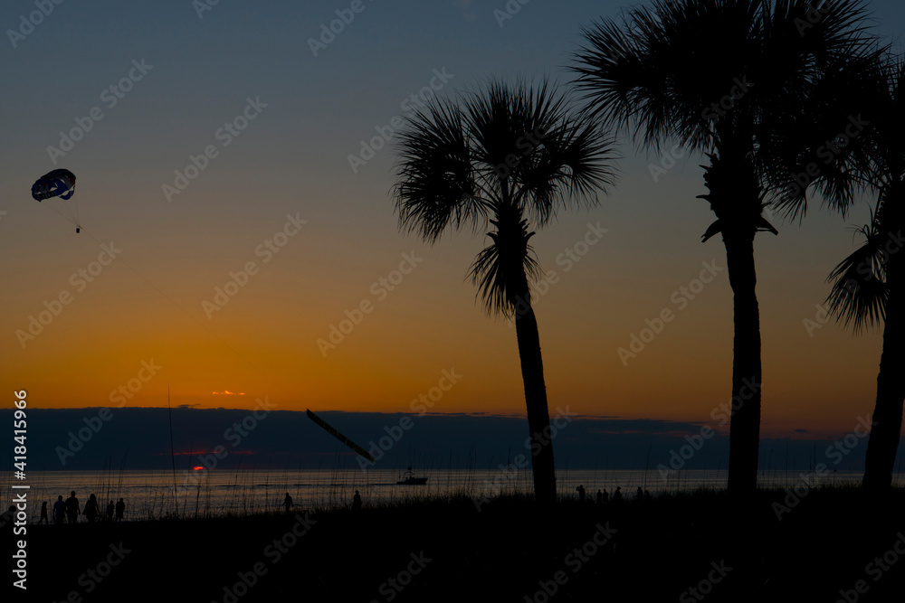 USA, Florida, Sarasota, Crescent Beach, Siesta Key, Sunset through the Palm Trees USA, Florida, Sarasota, Crescent Beach, Siesta Key, Sunset through the Palm Trees