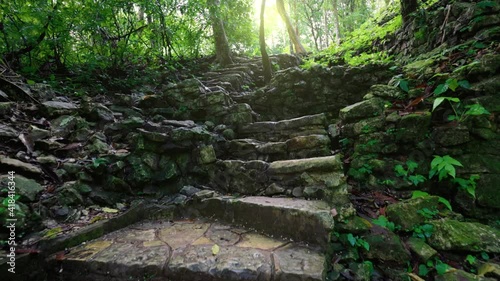 Old stone steps in the jungle in Palenque, Mayan Ruins. Camera pans up the ancient Mayan stairs among the lush jungle vegetation, Mexico photo