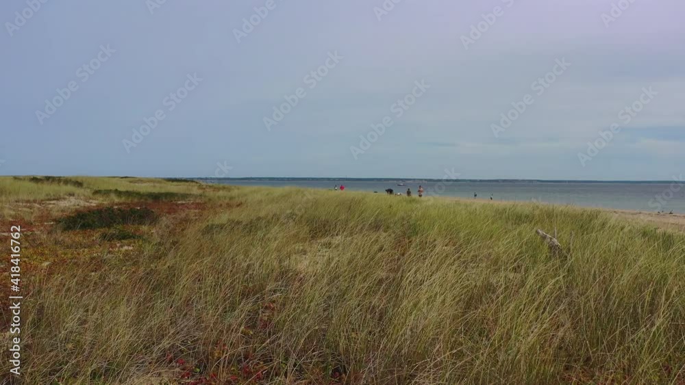 Drone flying backward from people by green plants at beach against sky on sunny day - Cape Cod, Massachusetts Drone flying backward from people by green plants at beach against sky on sunny day - Cape Cod, Massachusetts