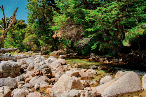 stream in the forest