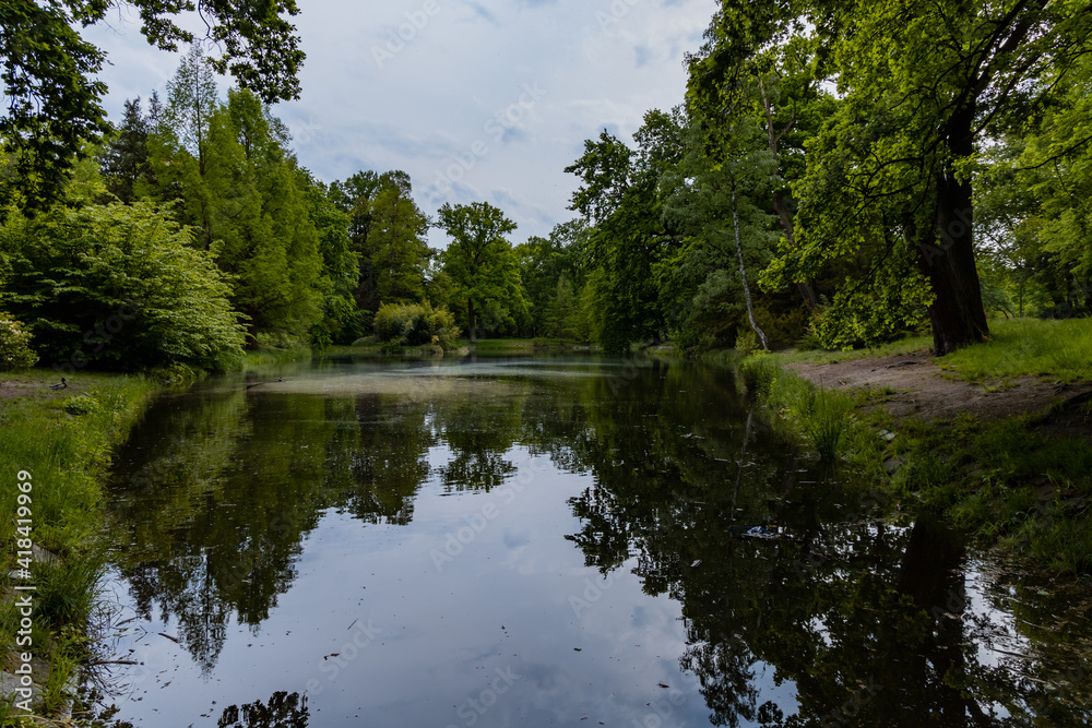 Fototapeta premium High old trees and bushes around small pond with reflection in water