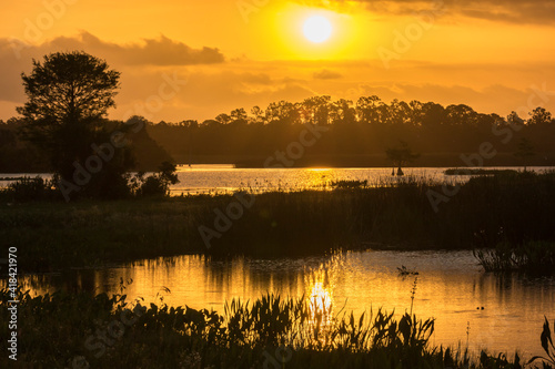 USA, Florida, Orlando Wetlands Park. Sunrise on lake and forest.
