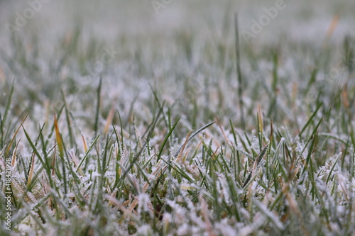 early morning white hard frost on the green grassed lawn