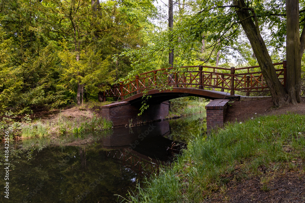 Small wooden bridge in old park full of trees and bushes