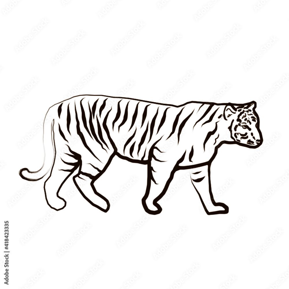 Obraz premium white tiger