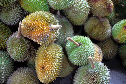Durian fruit - durian fruit in large quantities  durian fruit in the market  durian fruit in a basket