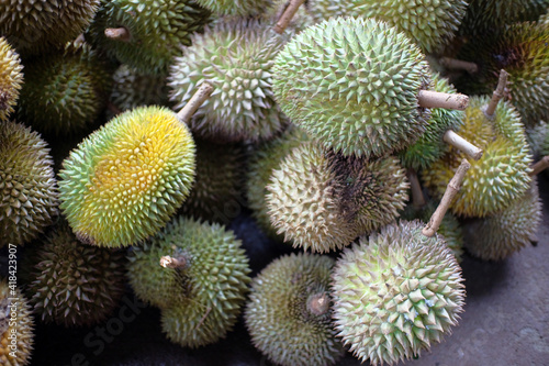 Durian fruit - durian fruit in large quantities, durian fruit in the market, durian fruit in a basket