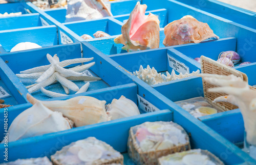 Souvenir shells for sale at Robbie's of Islamorada in the Florida Keys. photo